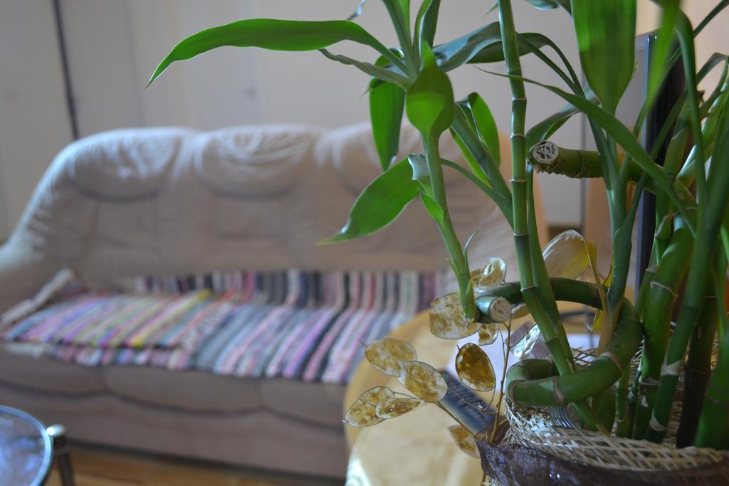 Airport Apartments Belgrade Luaran gambar