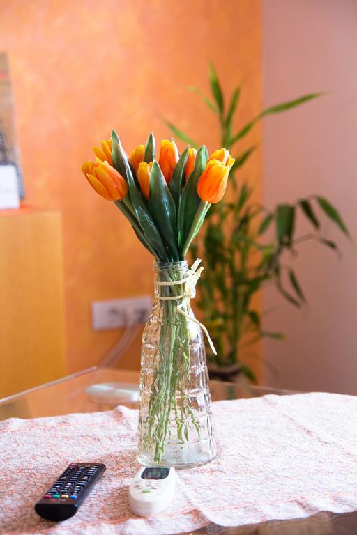 Airport Apartments Belgrade Luaran gambar